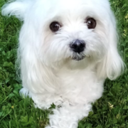 43890-TEDDY-16-06-22.png