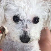 4923e-7139c-lola-14.jpeg