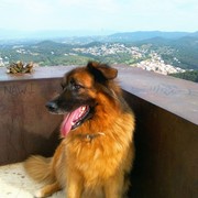 4b842-TORI.jpg