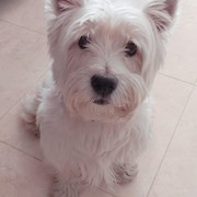 4d27f-d7527-baddy.jpg