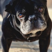 4f735-PACO-20-07-22.jpg