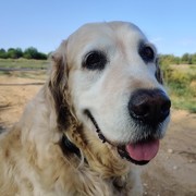 56317-NINA-05-05-22.jpeg