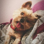 571a3-95615-max10.jpg