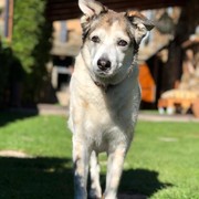 580df-9feb9-FLIPPY.jpg