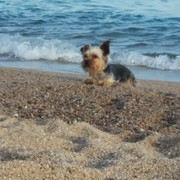5f822-3669f-coco.jpg