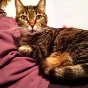 61d04-3a128-nina7.jpg