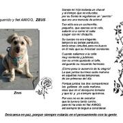 62b40-ba77d-zeus.jpg