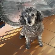 63d97-5a3e2-laqui_opt.jpg