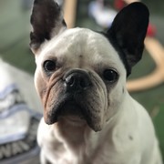 6f8a1-3f032-duke-17-2-2021.jpg