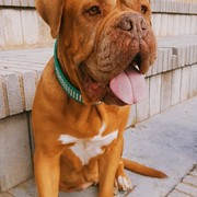 70e21-a0475-bimba-16-4.jpg