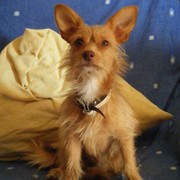 7a8a5-95249-thor-25-01-21.jpg