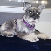 80025-BUSTER.jpg