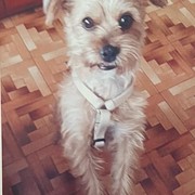 884b2-LAIKA-30-05-22.jpeg