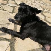 8926e-2adf4-coco_opt.jpg