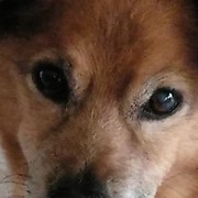 8ca08-a0cf1-rocky.jpg