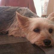 8f7a6-869fc-lola1_opt.jpg