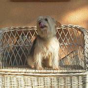 8fcc5-d8148-hansel_opt.jpg