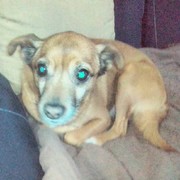 92c0b-2be45-rocky-16-09-20.jpg