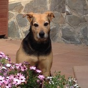 93a24-ccc43-kiona--2-.jpg