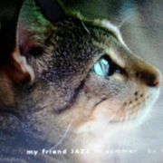 940c8-c059b-jazz_opt--1-.jpg