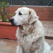 95356-41185-archy.jpg