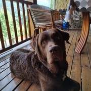 a45d0-BRACKEN.jpg