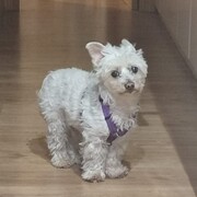 aiko-28-05.jpg