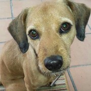 alvin-18-09-2025.jpg
