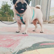 arya-28-08-2026.jpg