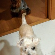 b3a53-dcae7-coco-29-10-2020.jpeg