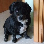 b996f-CODY-2.jpg