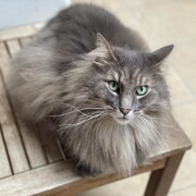 baldur-27-04-2026.jpg