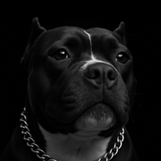 baloo-09-08.png