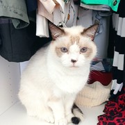 bb445-BICHI.jpg