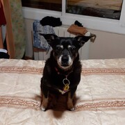 bimba-21-07-2026.jpg