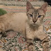 bruno-09-09-2026.jpg