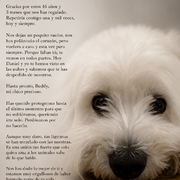 buddy-19-05-2026.png