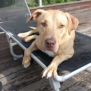 budy-11-08.jpg