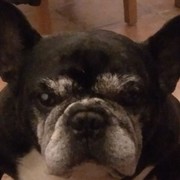 c6b64-45247-coco-22-04.jpg