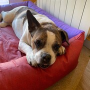 canela-28-07.jpg
