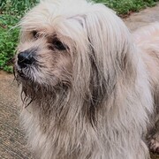 casper-27-08-25.jpg