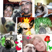 cdf79-7f152-gordo-8-02-2021.png