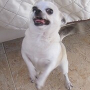 CHLOE - chloe2-25-06-24.JPG