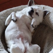 CHLOE - chloe4-25-06-24.JPG