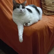 coco-05-07-2026.jpg