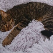 coco-08-09-2025.jpg