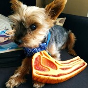 coco-12-08.jpg