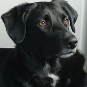 coda-31-08-25.jpg