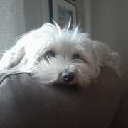cuca-24-08-25.jpeg