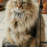 cuqui-26-04-2026.jpg